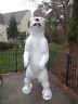 Rare Giant Life Size 8' Feet 95 Tall Fiberglass Standing Polar Bear Sculpture