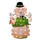 Sam Snowman Rudolph's Storyteller With Light String Pre Lit Christmas Yard Decor