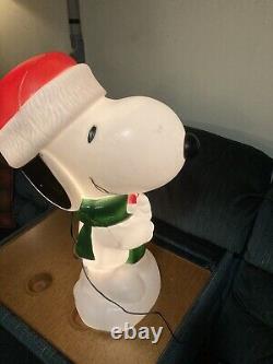 Snoopy The Peanuts Charlie Brown Christmas New Blow Mold 24 Inch BlowMold