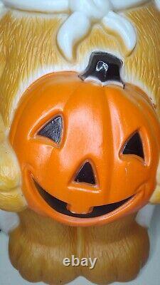 VTG HALLOWEEN BEAR Blow Mold Pumpkin Masked Bandit Lighted Yard Decor Teddy