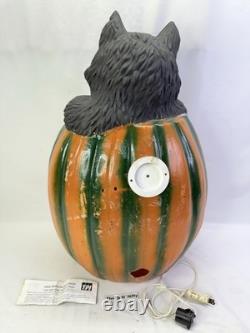 VTG TPI Halloween Blow Mold 28 Jack-O'-Lantern with Black Cat in Pumpkin