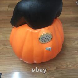 Vintage 1993 Halloween Blow Mold 34 Black Cat on Pumpkin Read Description Vintage 1993 Halloween Blow Mold 34 Black Cat on Pumpkin Read Description