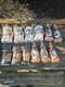 Vintage Empire Blow Mold Lot Of 12 Christmas Path Light Toppers Still In Package