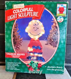 Vtg RARE MR CHRISTMAS PEANUTS 52 CHARLIE BROWN LIGHTED OUTDOOR SCULPTURE WORKS